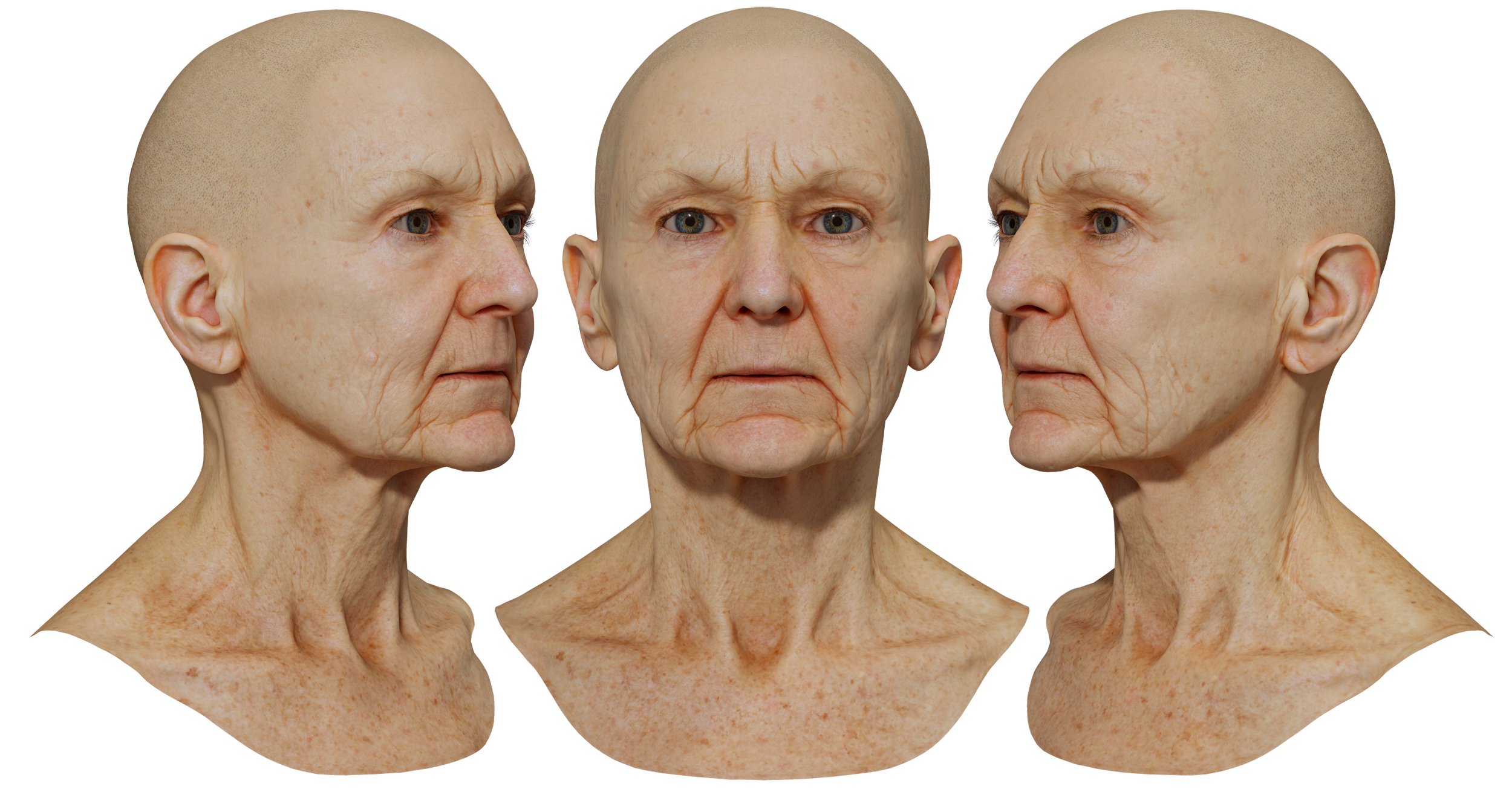 Female 3D Head model wrinkles